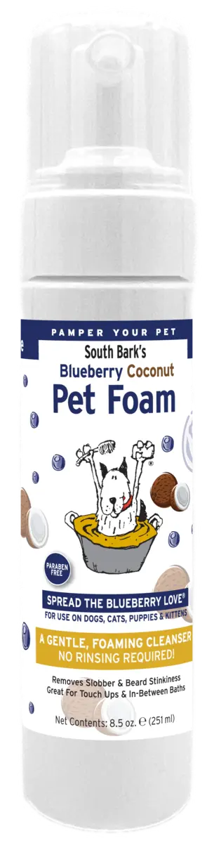 South Bark - Blueberry-Coconut Face Foam® 藍莓椰子乾洗泡沫